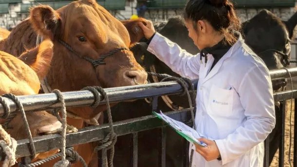 productosveterinarios